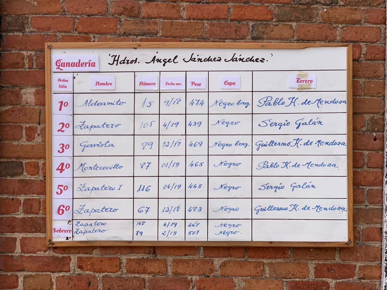 whatsapp-image-2023-09-09-at-12-28-04