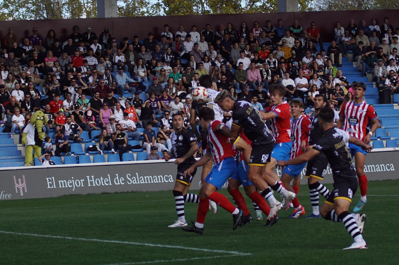 whatsapp-image-2024-10-13-at-14-56-40