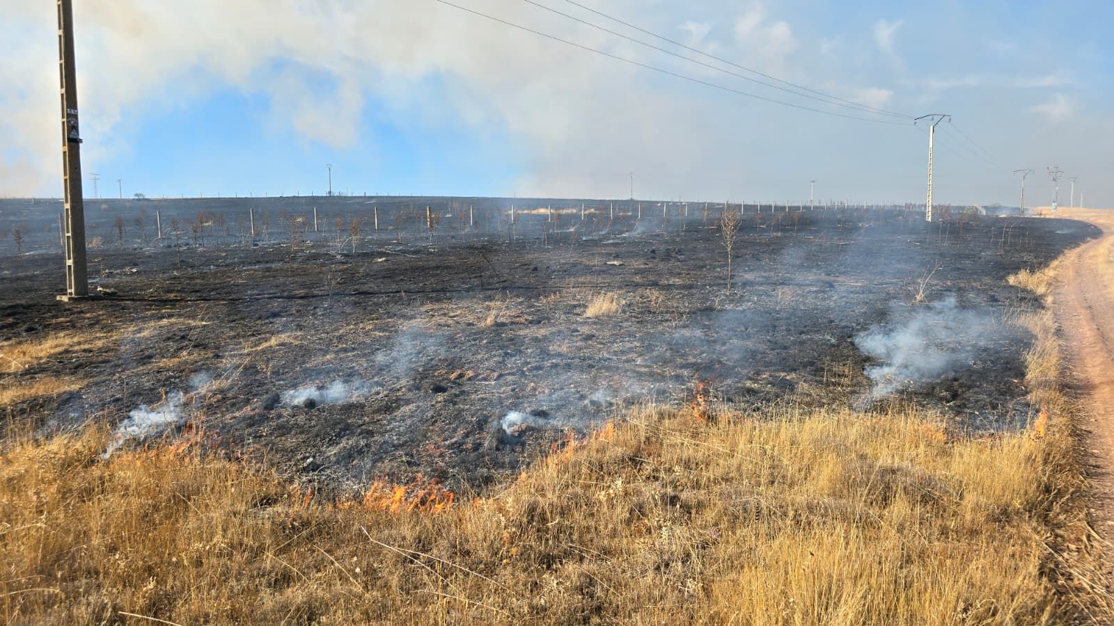 Incendio de rastrojos en la carretera de Matilla de los Caños
