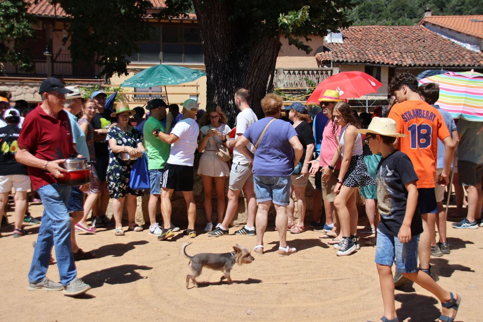 20240822133212-img-5199