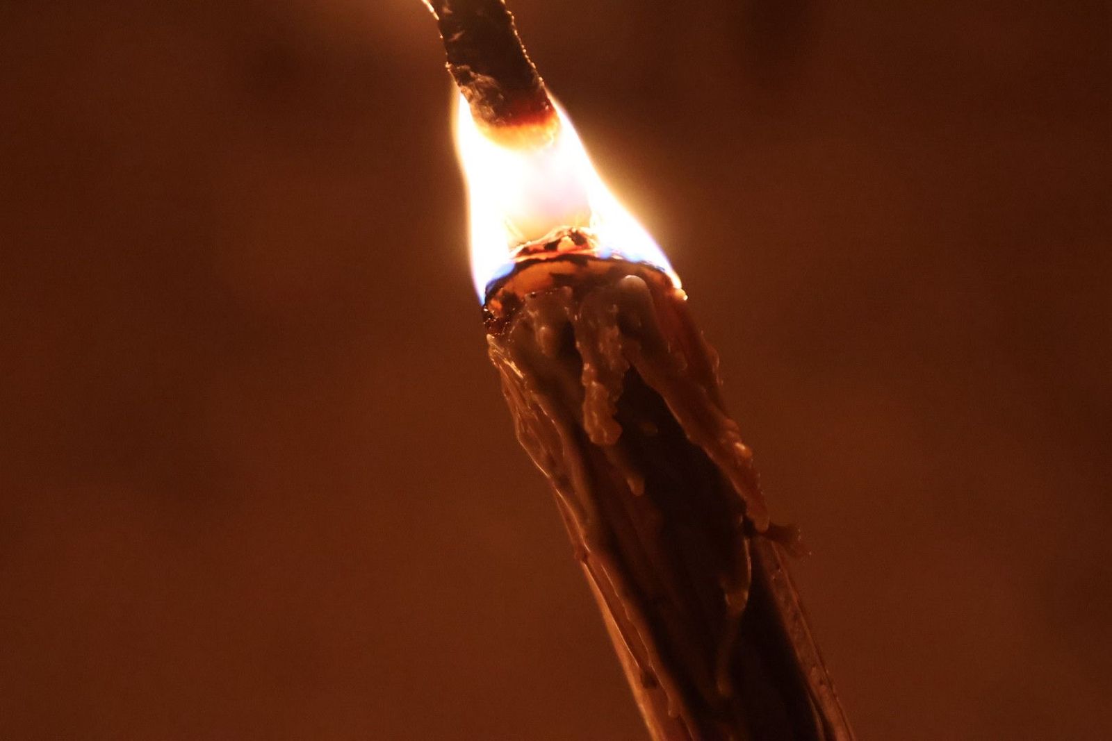 GALERÍA | Revive en imágenes la procesión de la Buena Muerte