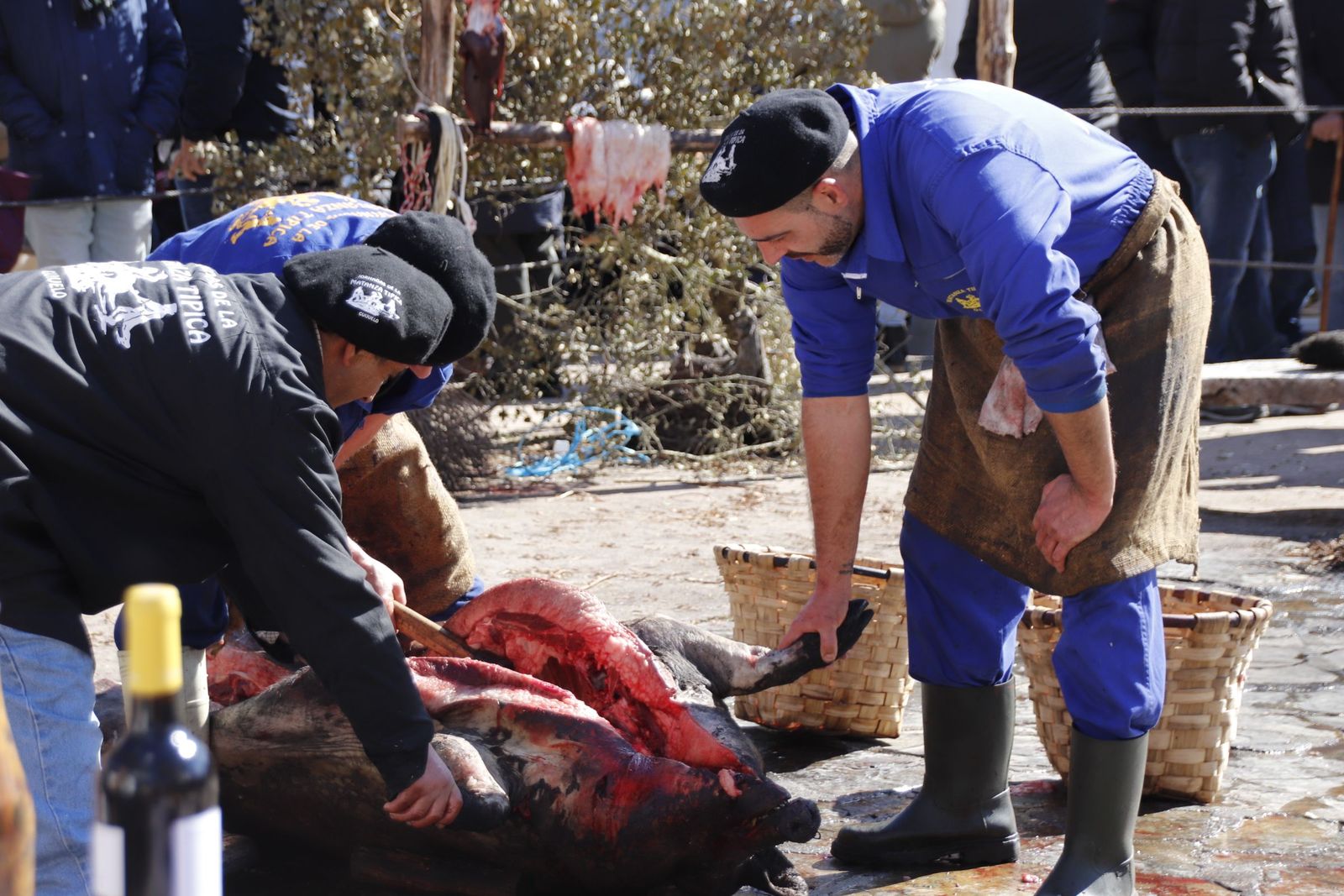 20220219144243-mg-8176