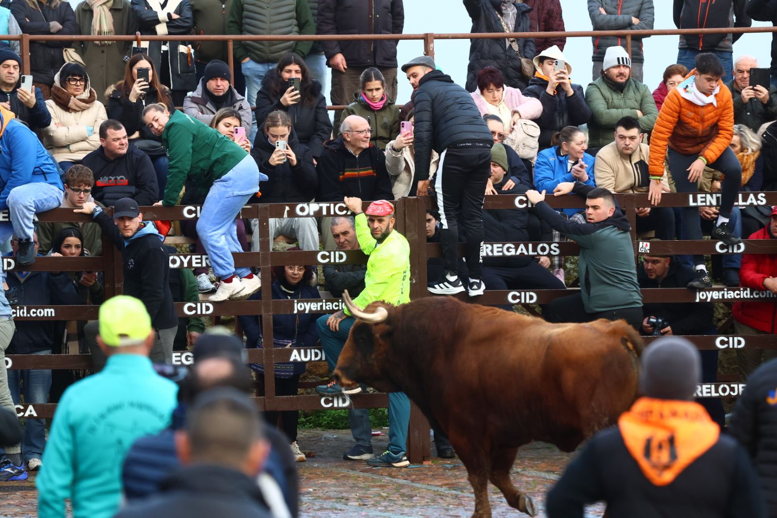 Toro del aguardiente en la mañana de martes del Carnaval del Toro 2026