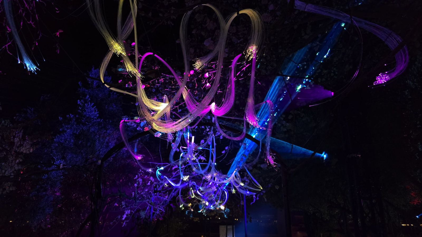 Pase para gráficos del ‘Jardín mágico del Huerto de Calixto y Melibea’