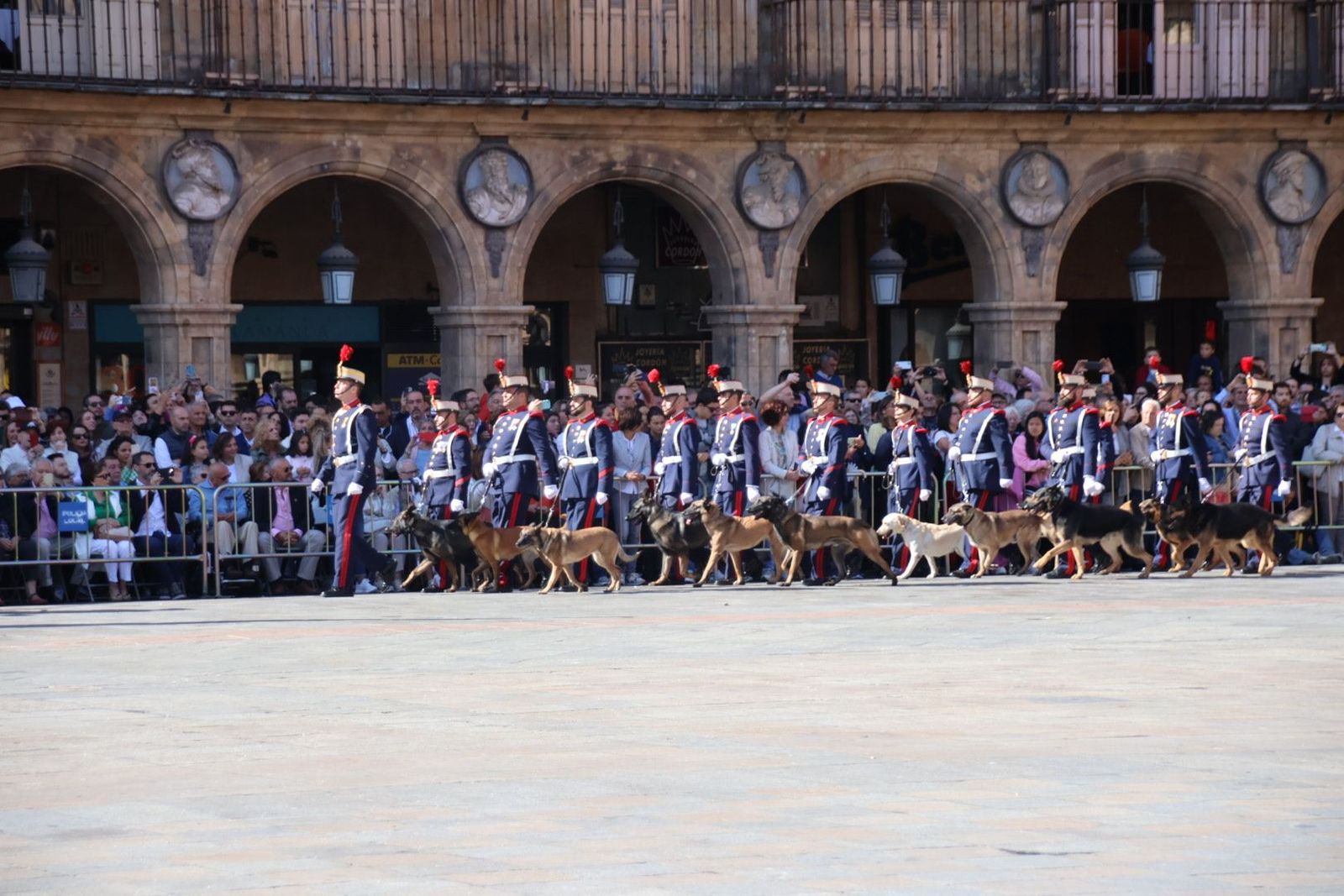 20230917104342-img-6101