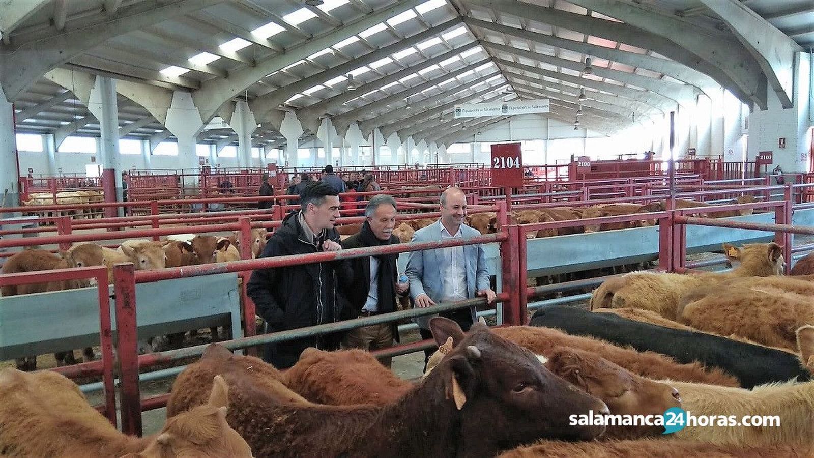 WhatsApp Image 2019 04 22 at 10.20.08