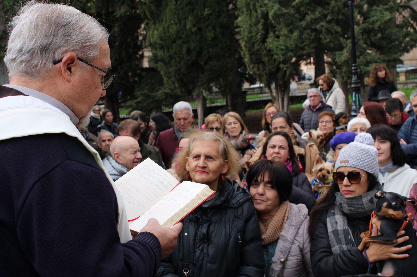 san-anton-bendicion-de-animales-2024-foto-s24h-57