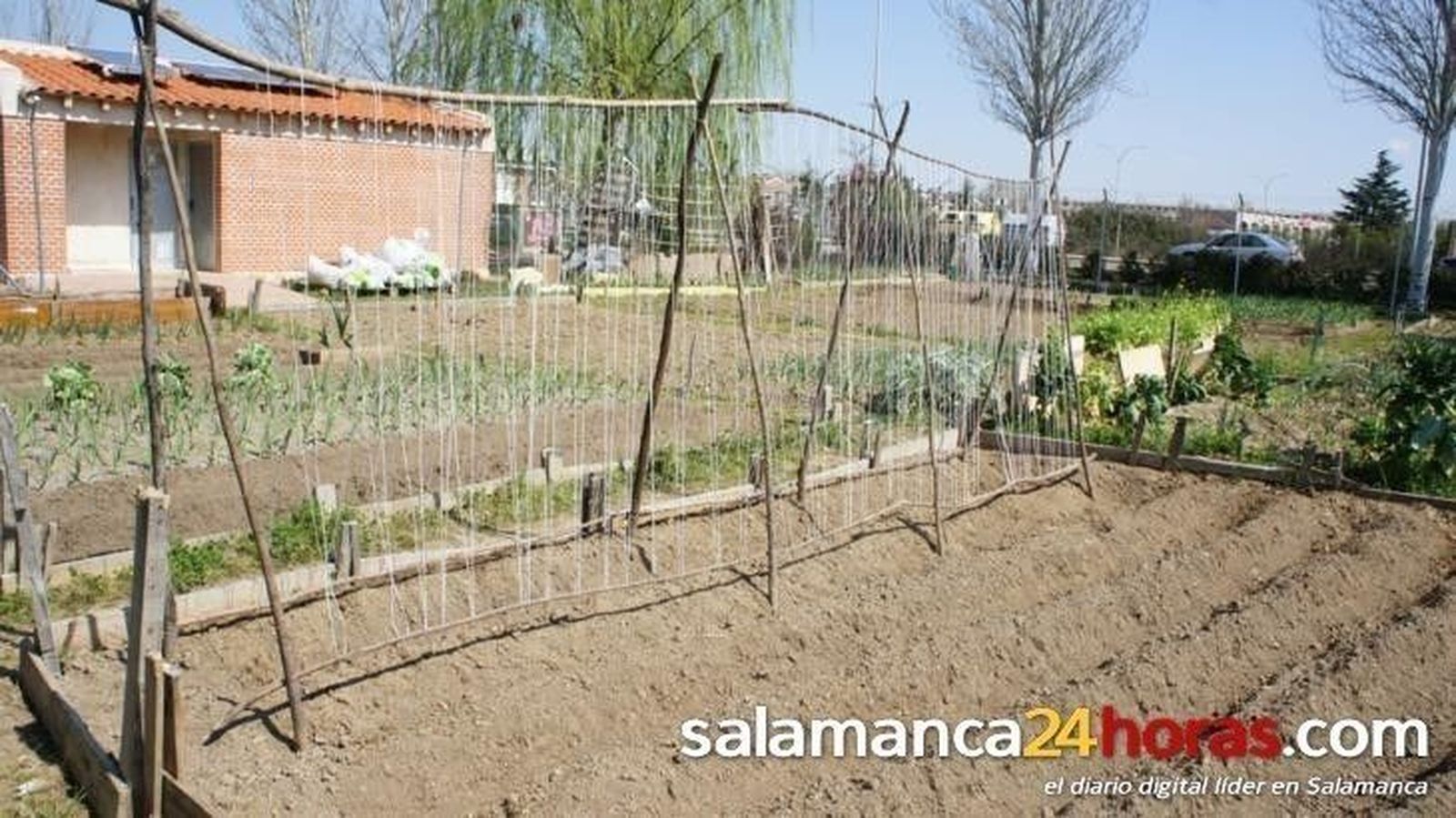 IU propone reactivar el fomento de los huertos de ocio