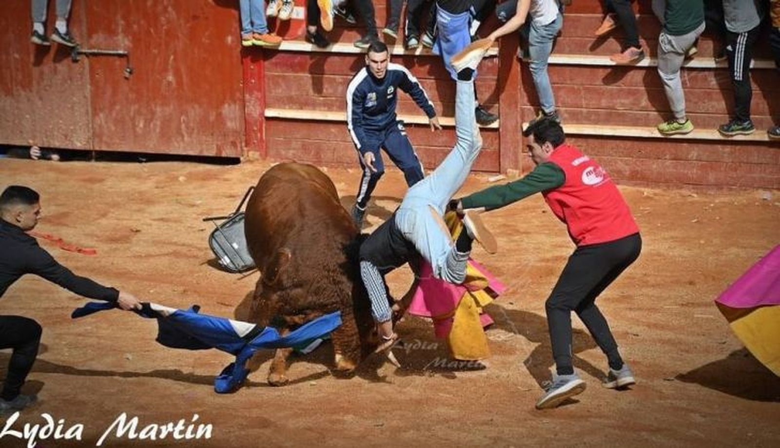El novillero mirobrigense Pérez Pinto ejerciendo de director de lidia en el Carnaval del Toro de Ciudad Rodrigo de 2023. Fotografía Lydia Martín El novillero mirobrigense Pérez Pinto ejerciendo de director de lidia en el Carnaval del Toro de Ciudad Rodrigo de 2023. Fotografía Lydia Martín