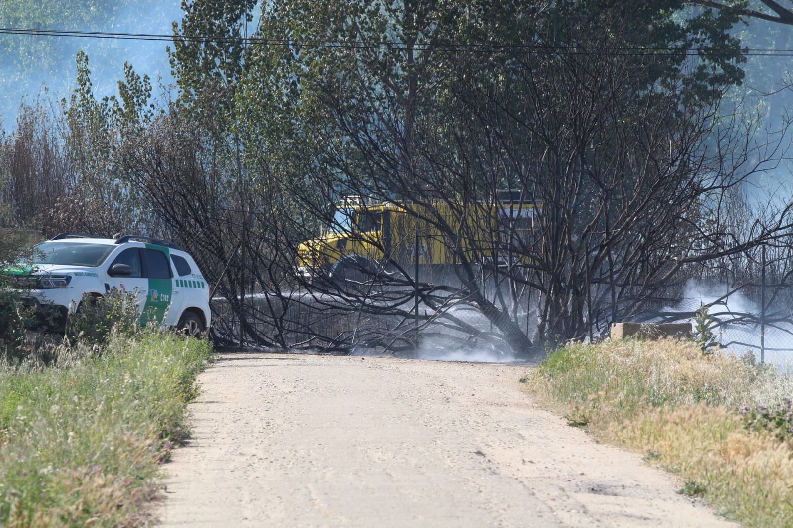 whatsapp-image-2023-05-09-at-18-17-38