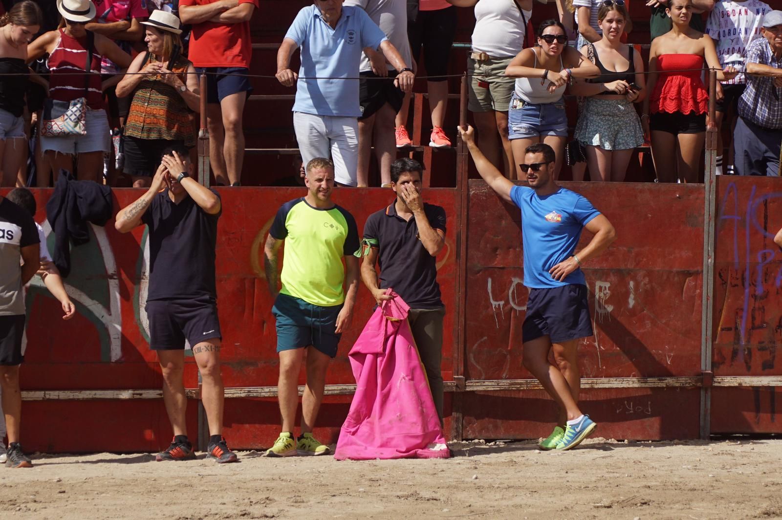 toro-de-cajon-de-castrillo-de-la-guarena-fotos-juanes-13