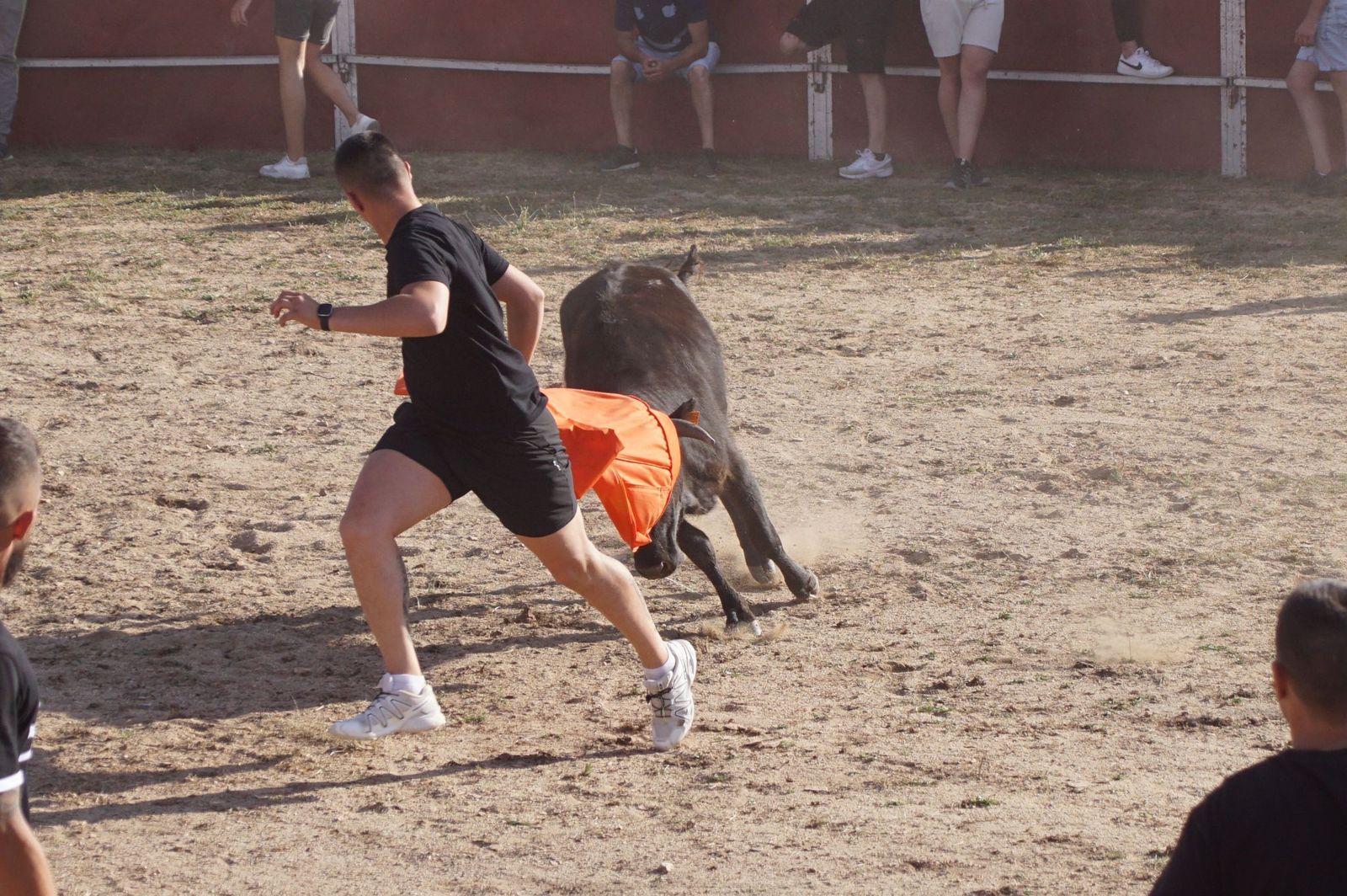 capea-fiestas-de-carrascal-de-barregas-26