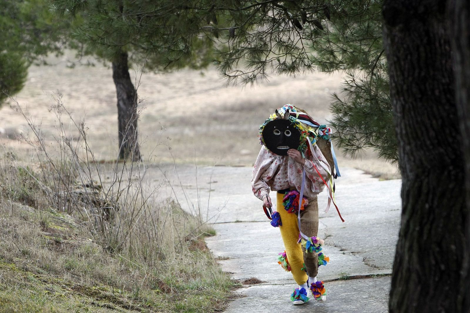 J. L. Leal / ICAL. Celebración de El Zangarrón de Montamarta en Zamora