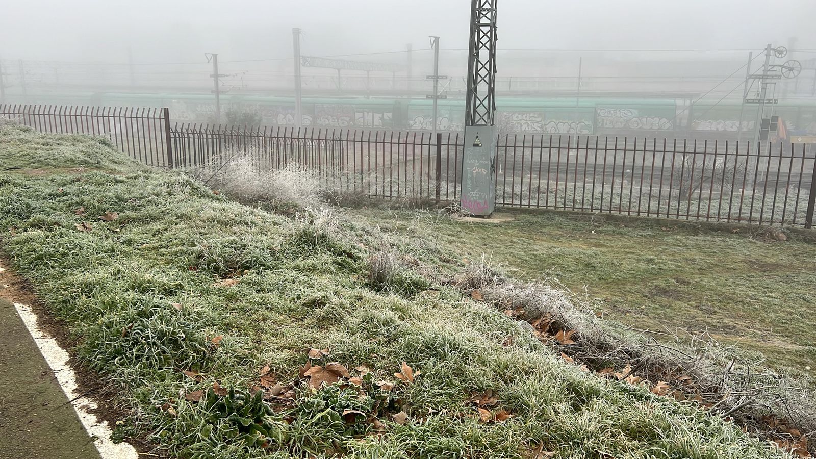 whatsapp-image-2025-02-06-at-09-32-45