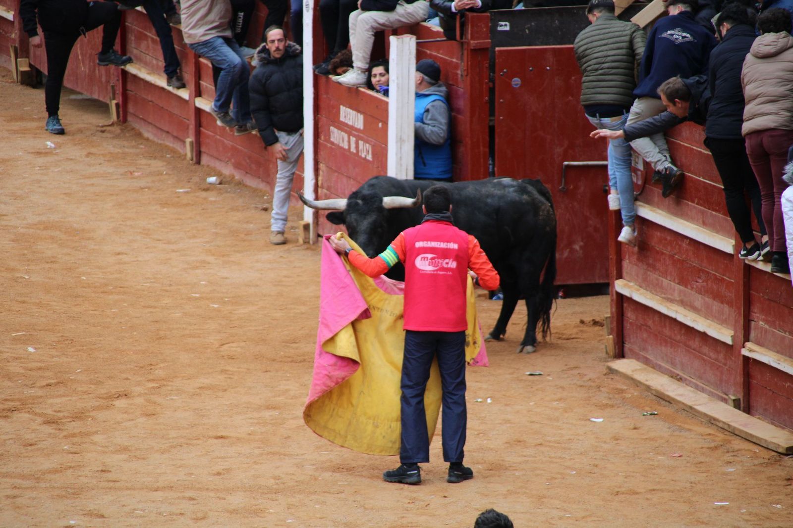 whatsapp-image-2025-03-01-at-13-18-38-1