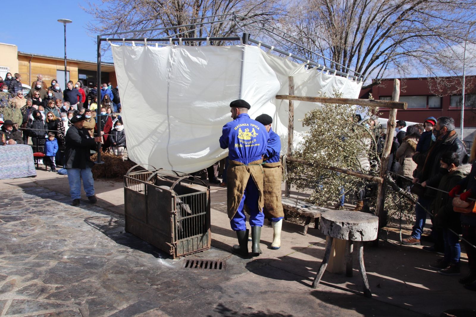 20220219140341-mg-8100