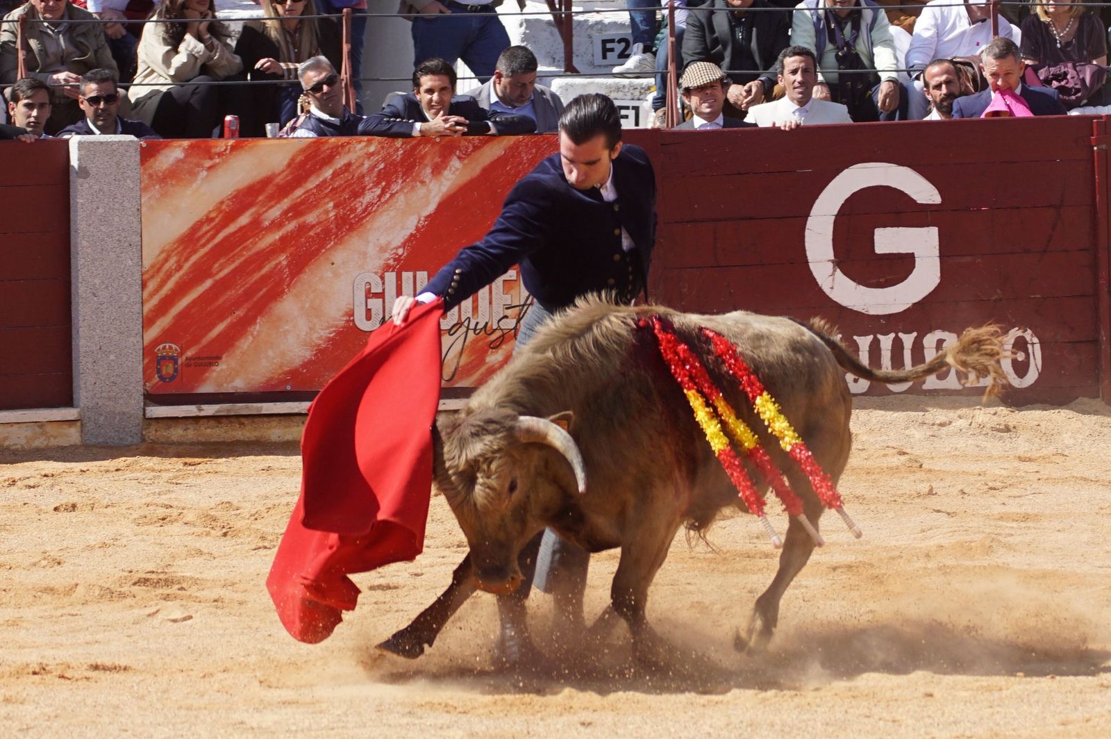 Festival taurino solidario por la esclerosis múltiple en Guijuelo