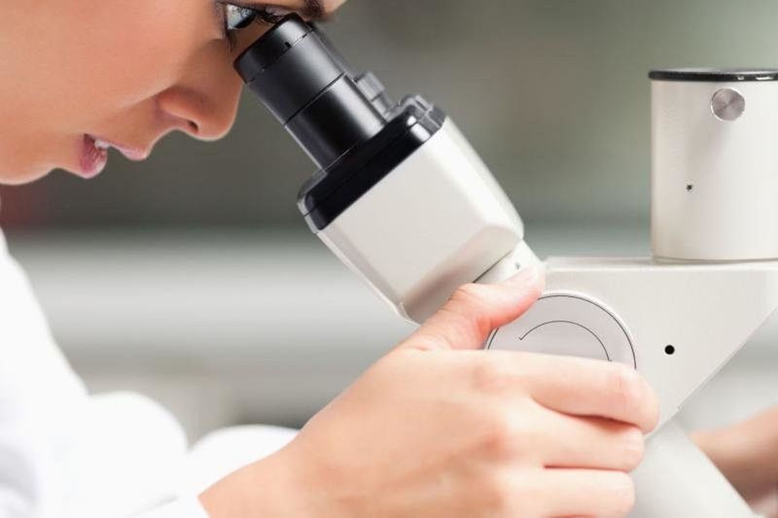 ¿Un año sin investigación en las universidades?