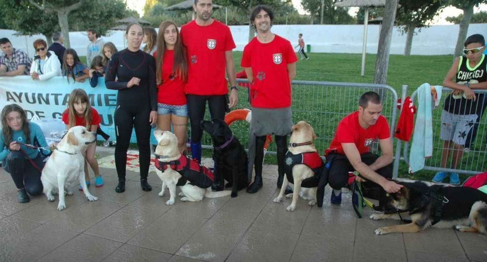Una exhibición de salvamento acuático canino pone el broche a una de las mejores temporadas de piscina