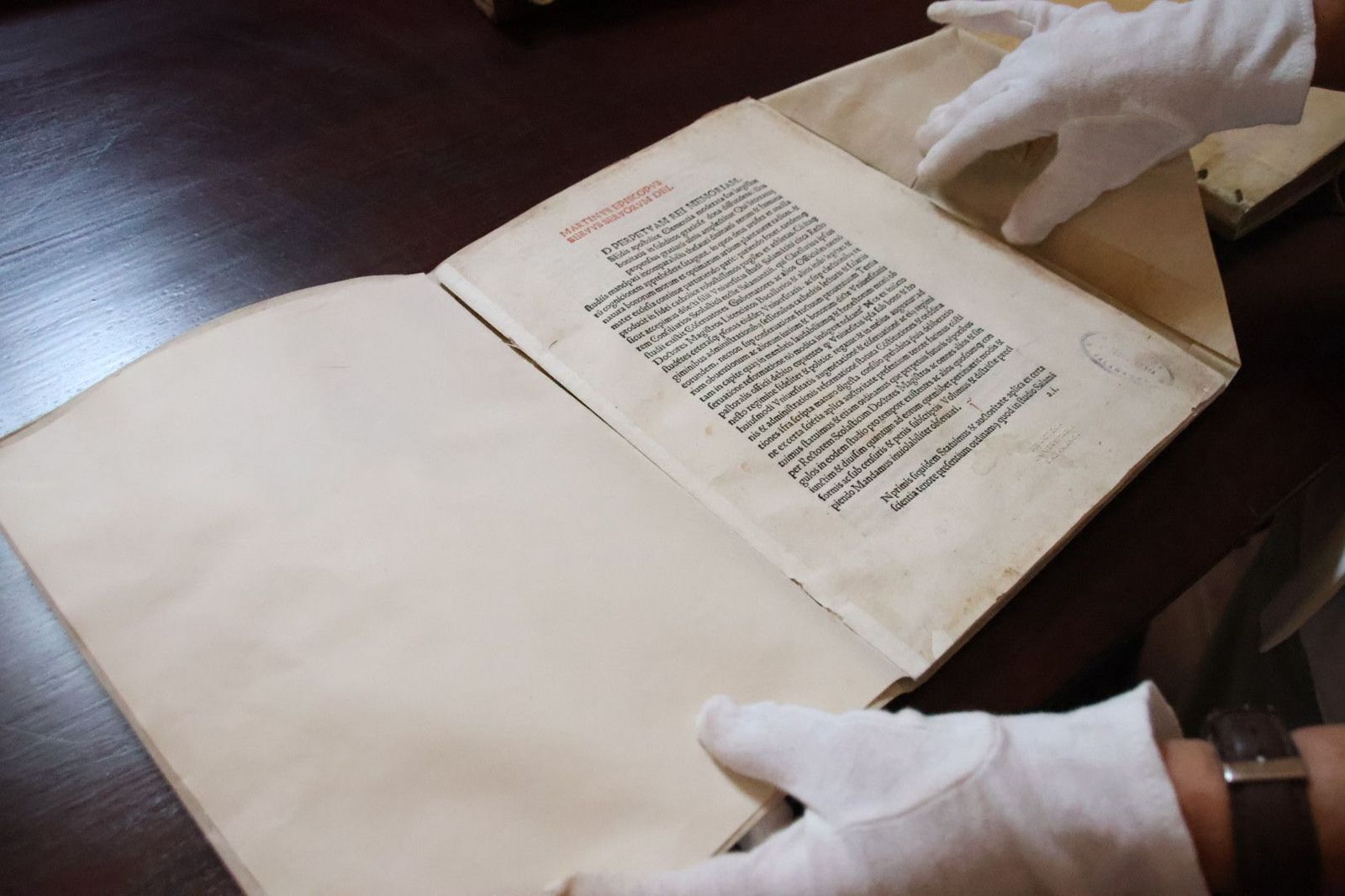 20231005112719-img-1342