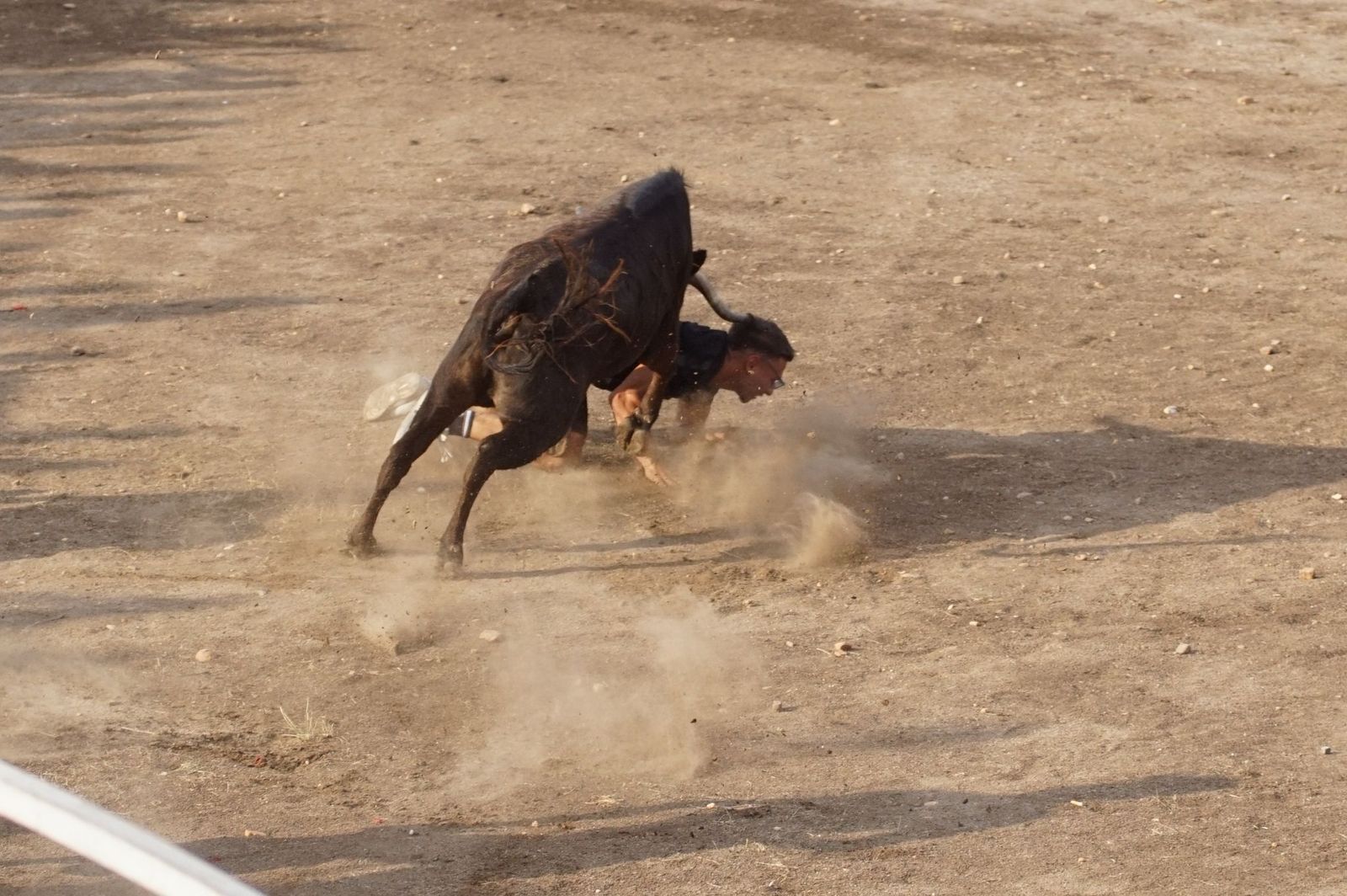 WhatsApp Image 2025-08-01 at 21.51.33 (2).jpeg