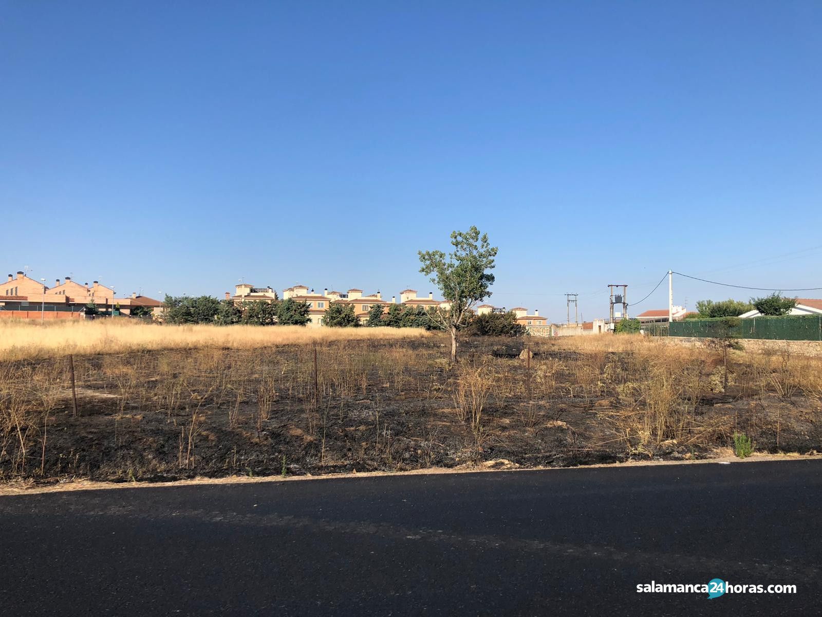 WhatsApp Image 2020 07 11 at 09.42.35 (1)