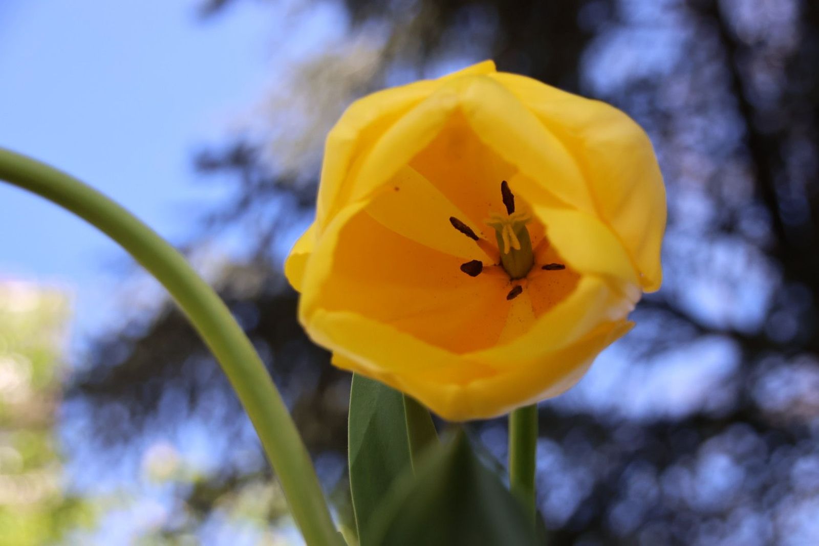 20240410115210-img-7354