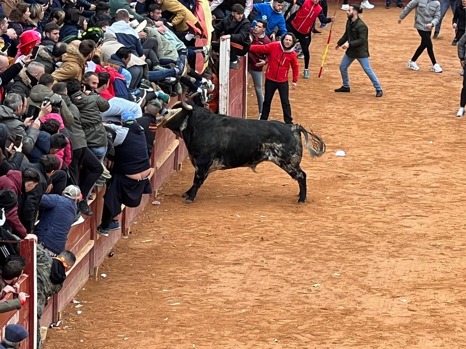 encierro-del-sabado-de-carnaval-en-ciudad-rodrigo-7