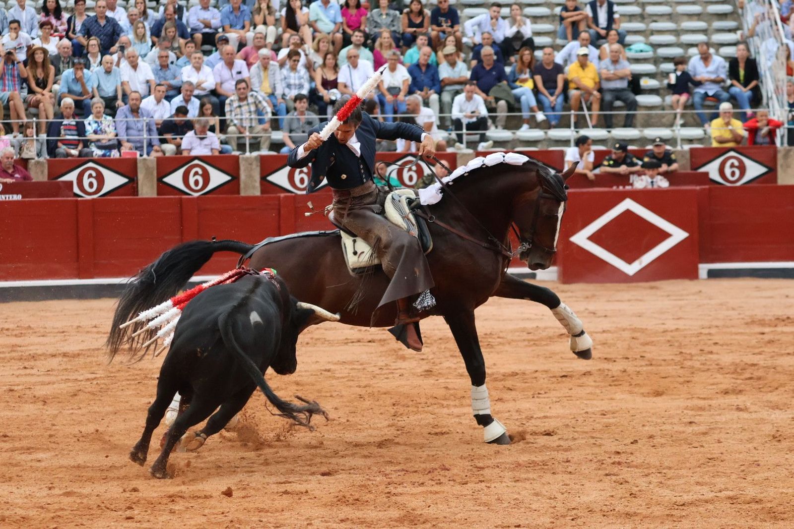 20230909184425-img-0734