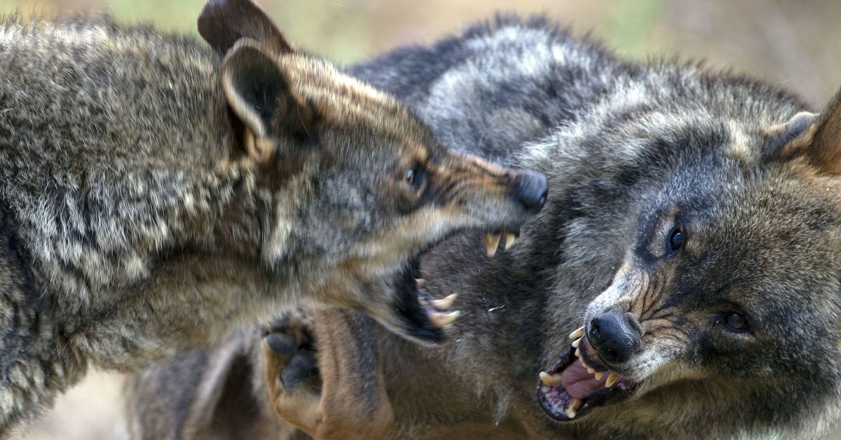 El Gobierno quiere que suba 