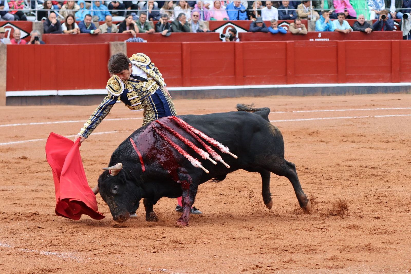 20230916172127-img-5250