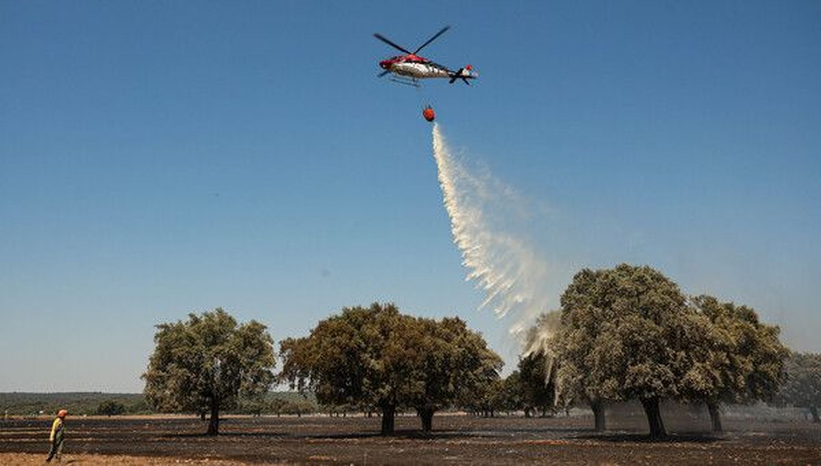 galeria-incendio-forestal-intencionado-en-campillo-de-azaba-fotos-jose-vicente-ical-3