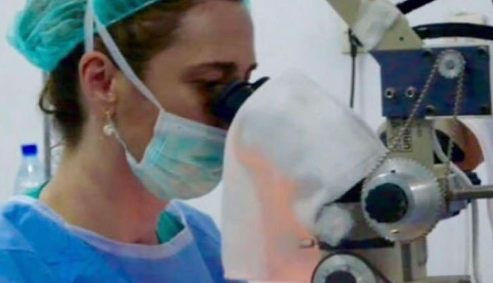 Imagen de WhatsApp 2023 03 10 a las 17.58.41