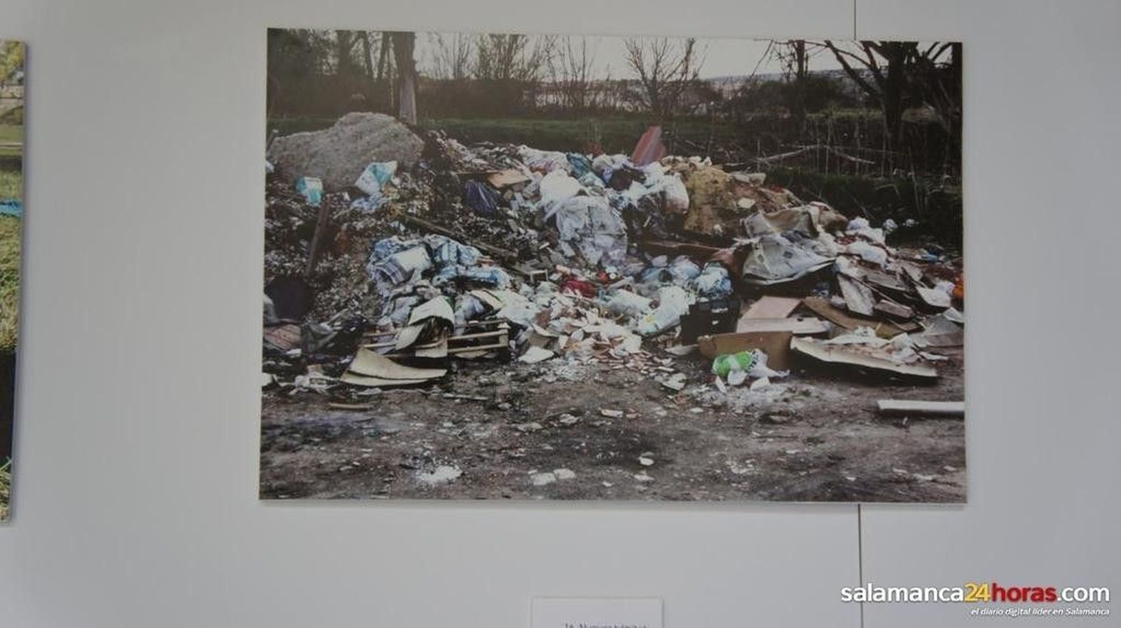 Exposiciones fotográficas en la Casa de las Conchas