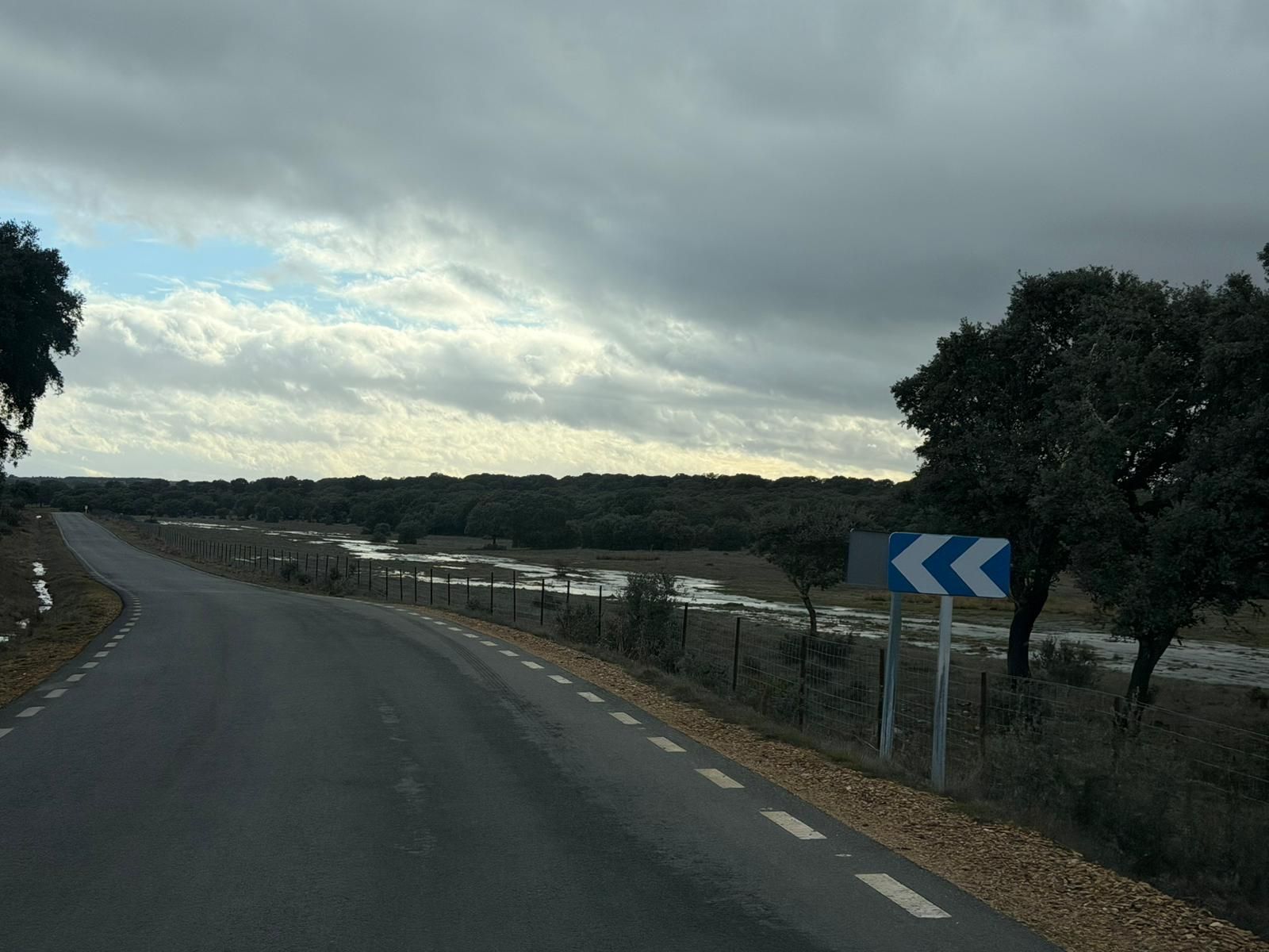 El campo anegado de agua en la zona del Campo Charro