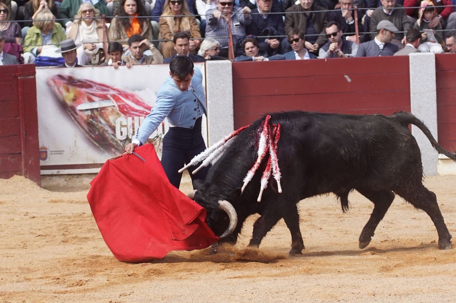 Festival taurino solidario por la esclerosis múltiple en Guijuelo