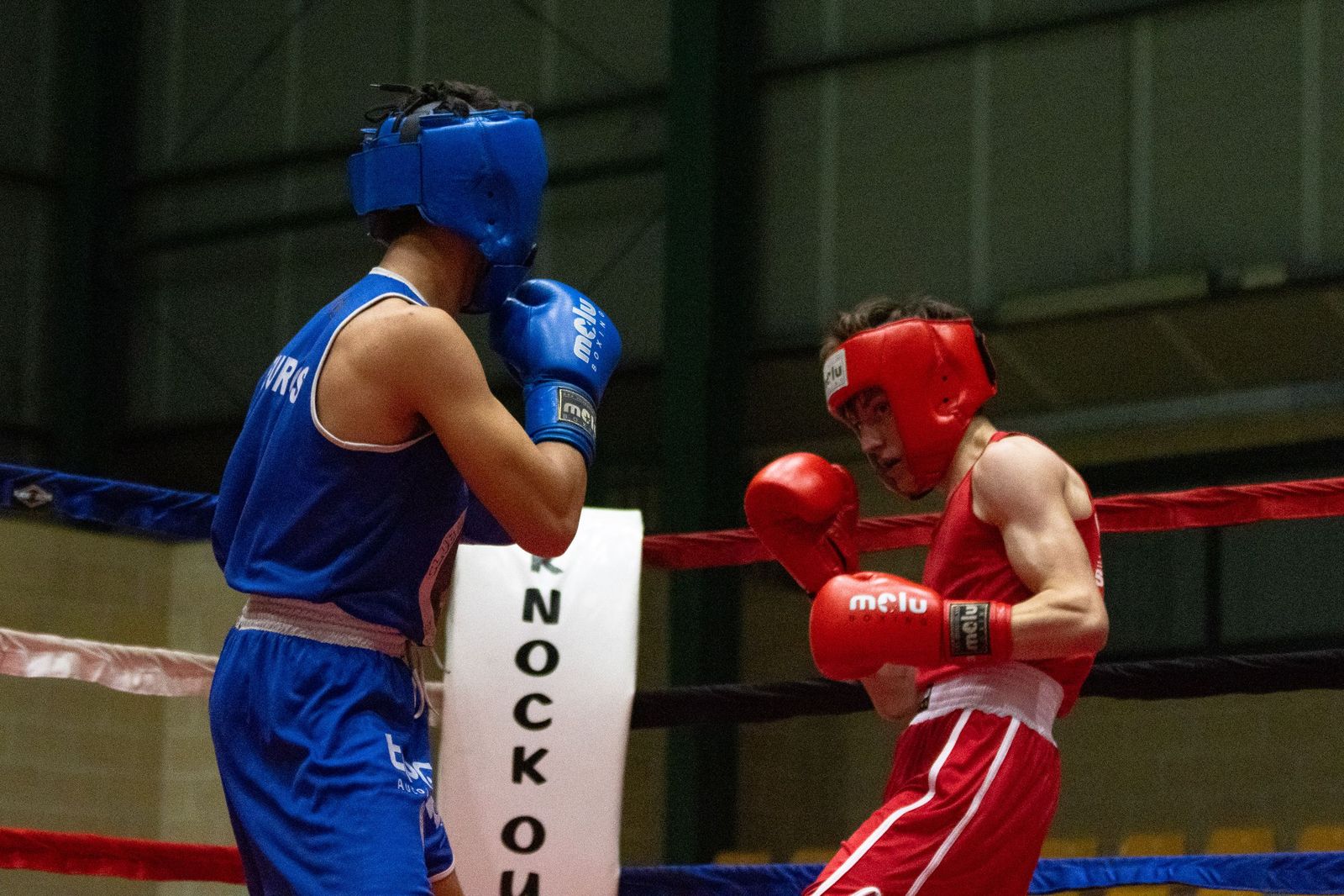 Velada de Boxeo amateur en San José