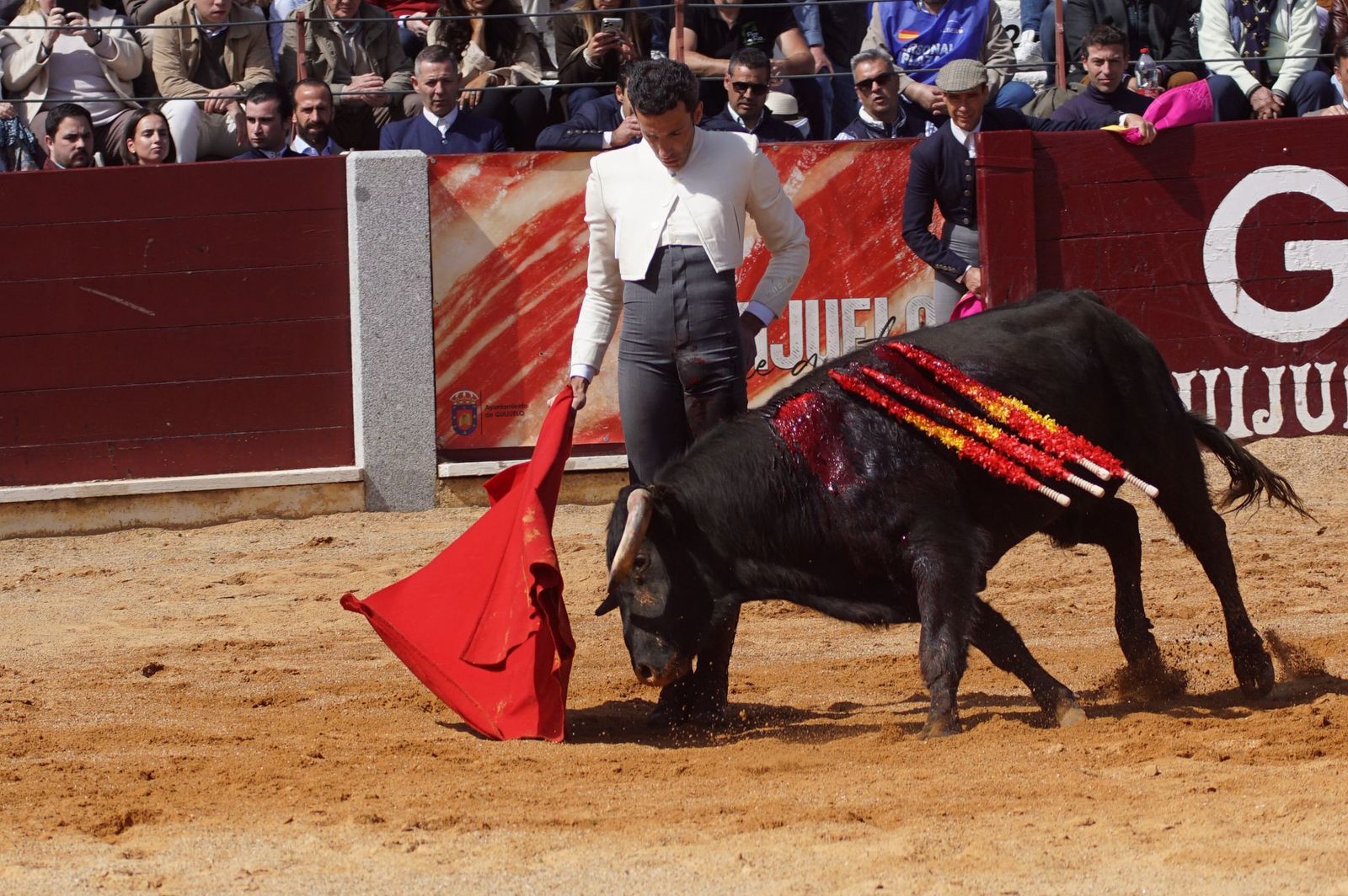 Festival taurino solidario por la esclerosis múltiple en Guijuelo