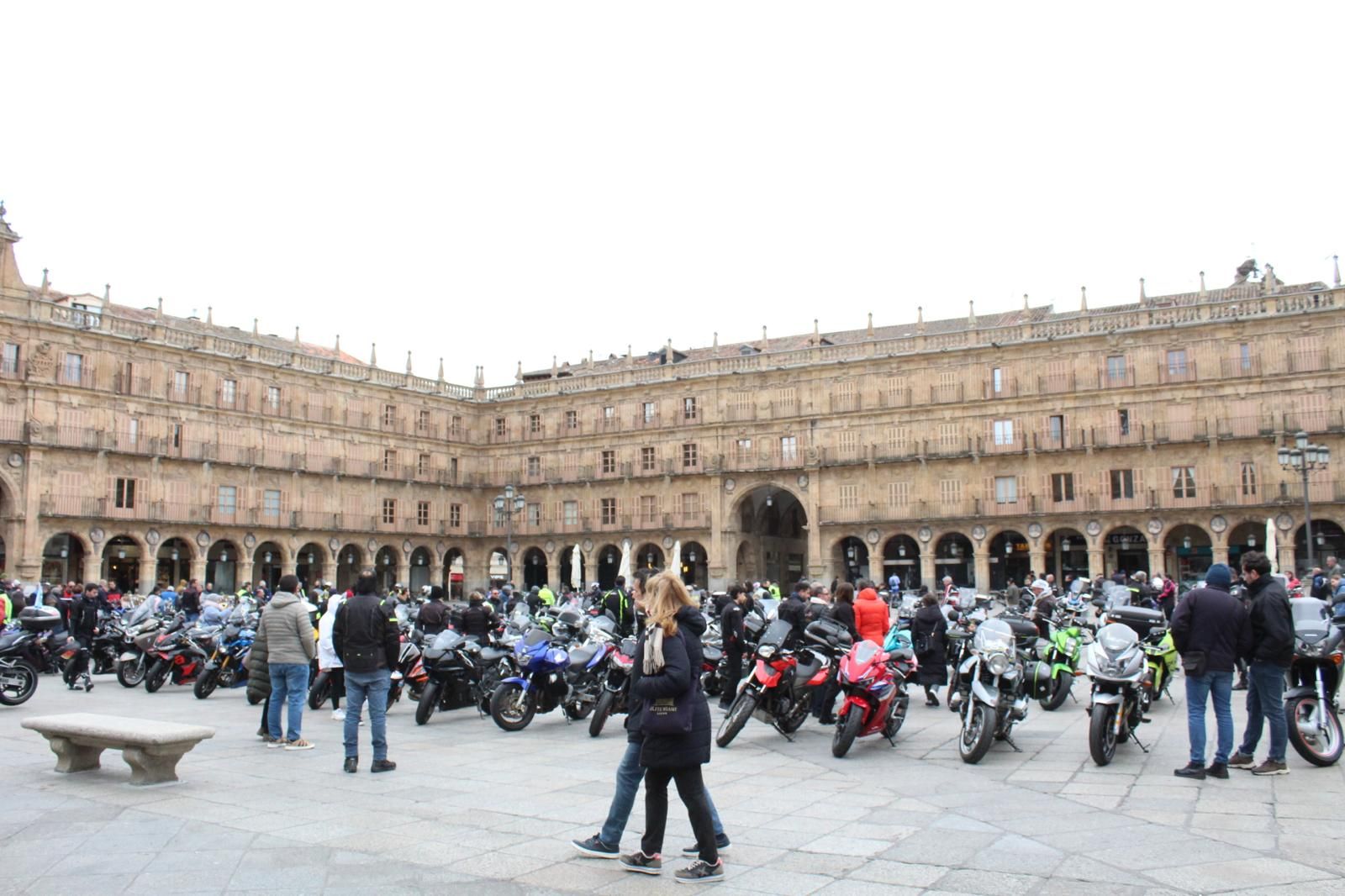 whatsapp-image-2025-03-02-at-10-18-52-20