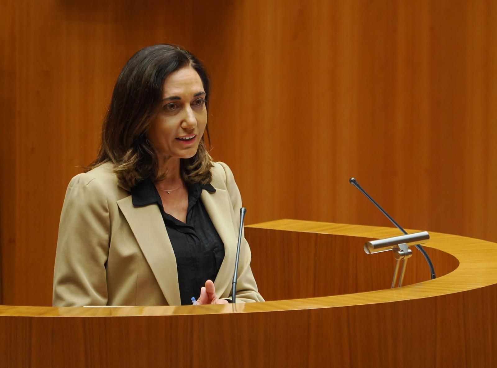 La procuradora de Unión del Pueblo Leonés (UPL), Alicia Gallego