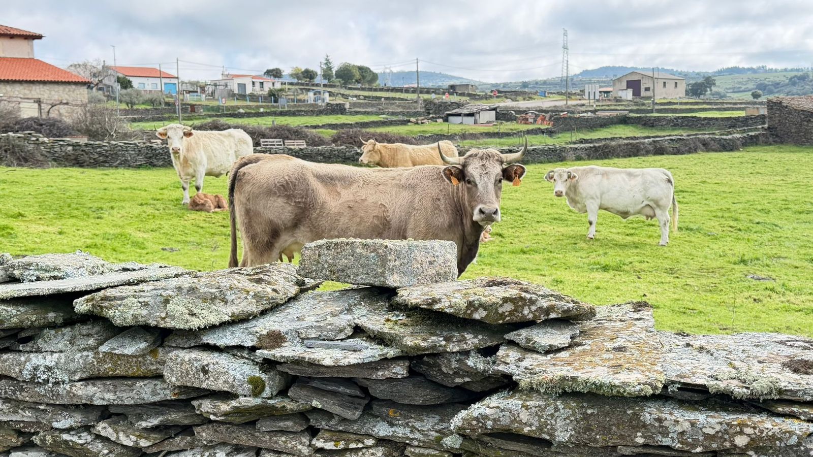 Marcha senderista en Vilvestre