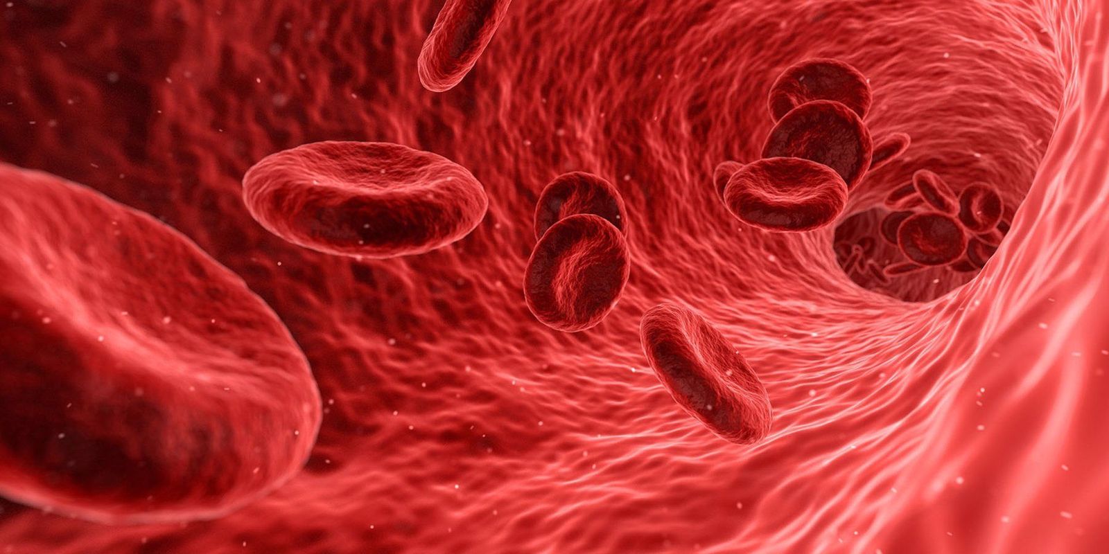 Sangre |&nbsp;EUROPA PRESS