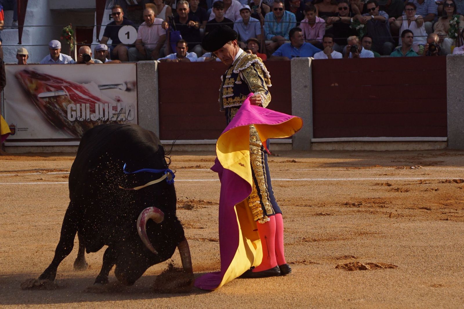 En imágenes la despedida de los ruedos de El Capea en Guijuelo