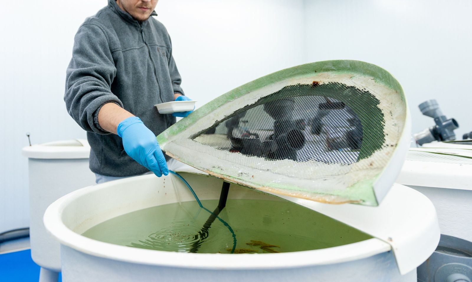 Curso de formación en acuicultura