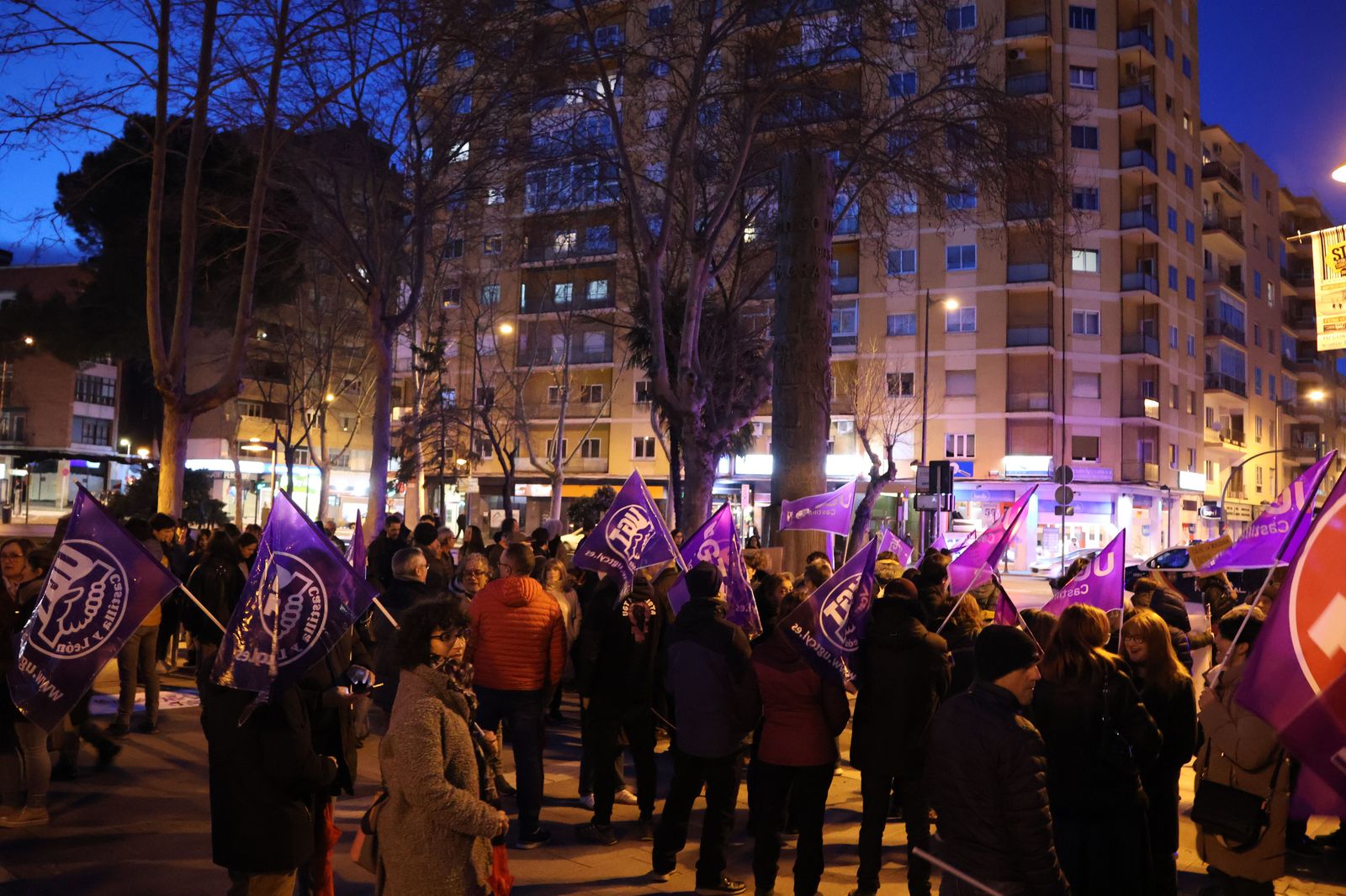 marcha-del-8m-en-zamora-11