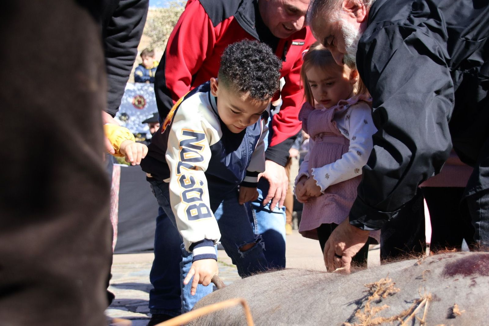 20240203131453-img-4457