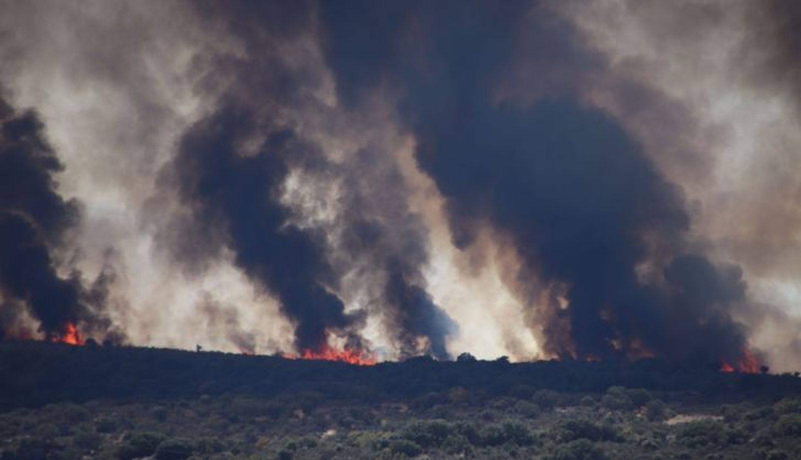 incendio San Felices de los Gallegos (111)