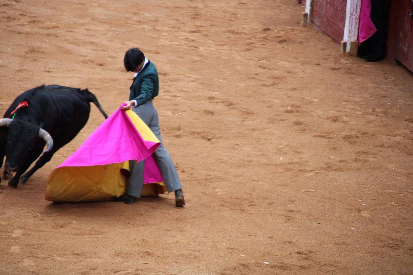 whatsapp-image-2025-03-02-at-18-54-58