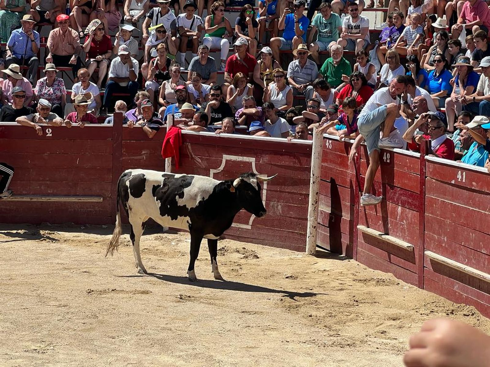 whatsapp-image-2022-08-21-at-1-04-12-pm