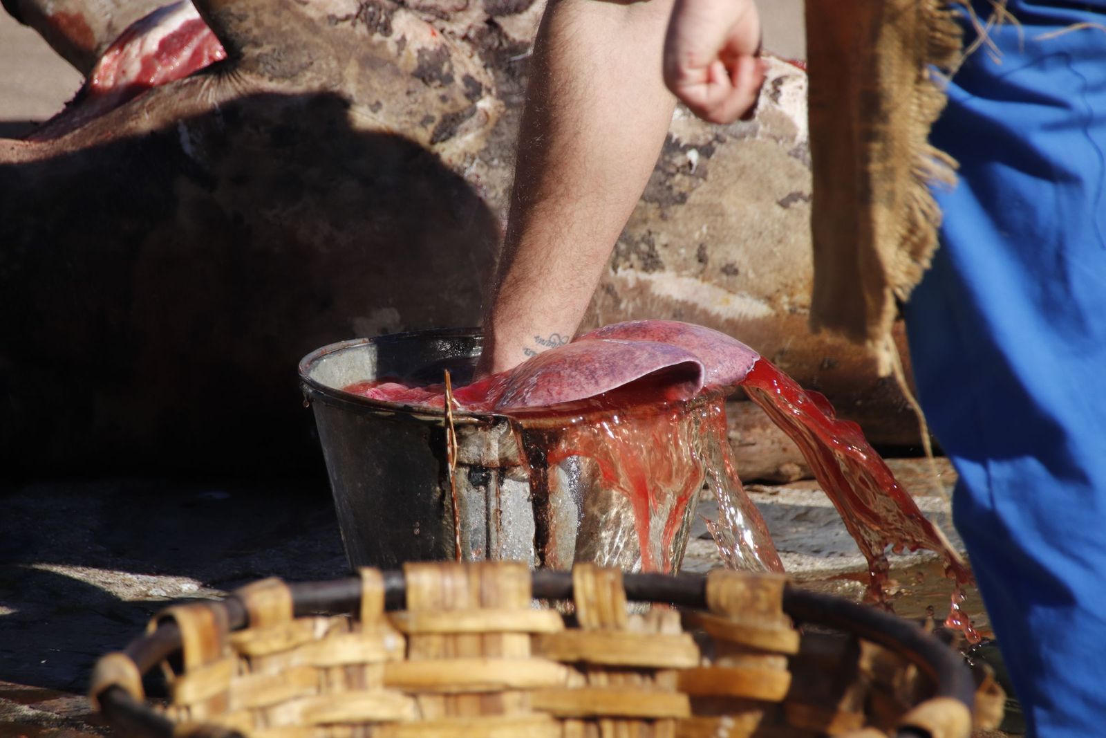 20230204132216-mg-5032